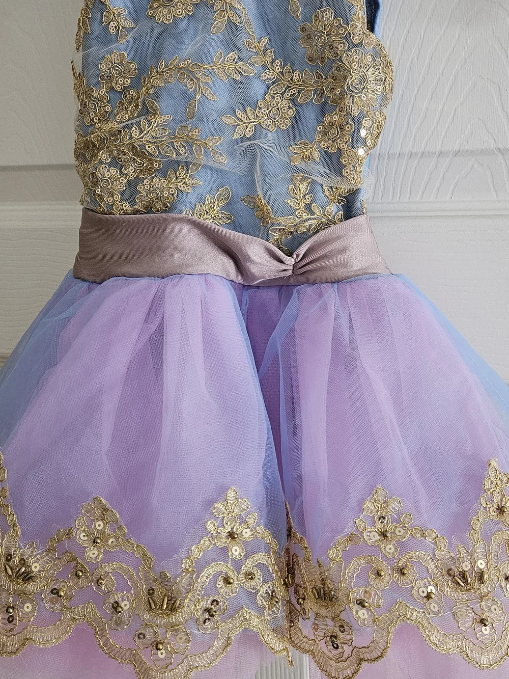 Blue & Pink Gold-Trim Tulle Dance Costume 
